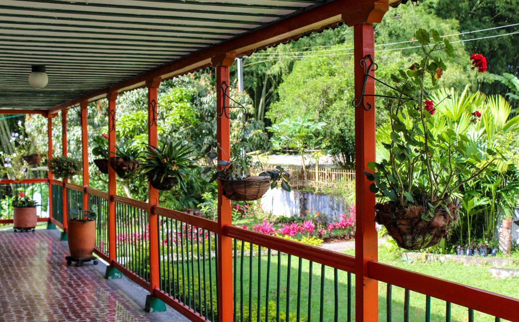 Hotel Campestre La Floresta Armenia  Luaran gambar