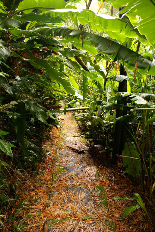 Hotel Campestre La Floresta Armenia  Luaran gambar